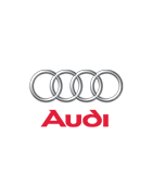 Equipajes personalizada para cabrio Audi