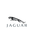 Custom luggages for convertible car Jaguar