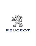 Personalizzato bagagli per cabriolet Peugeot
